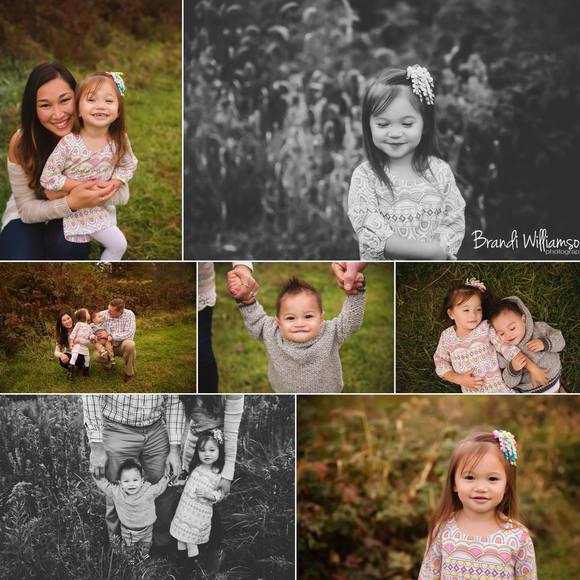 Meet your Posher, Laine - Picture 1 of 1